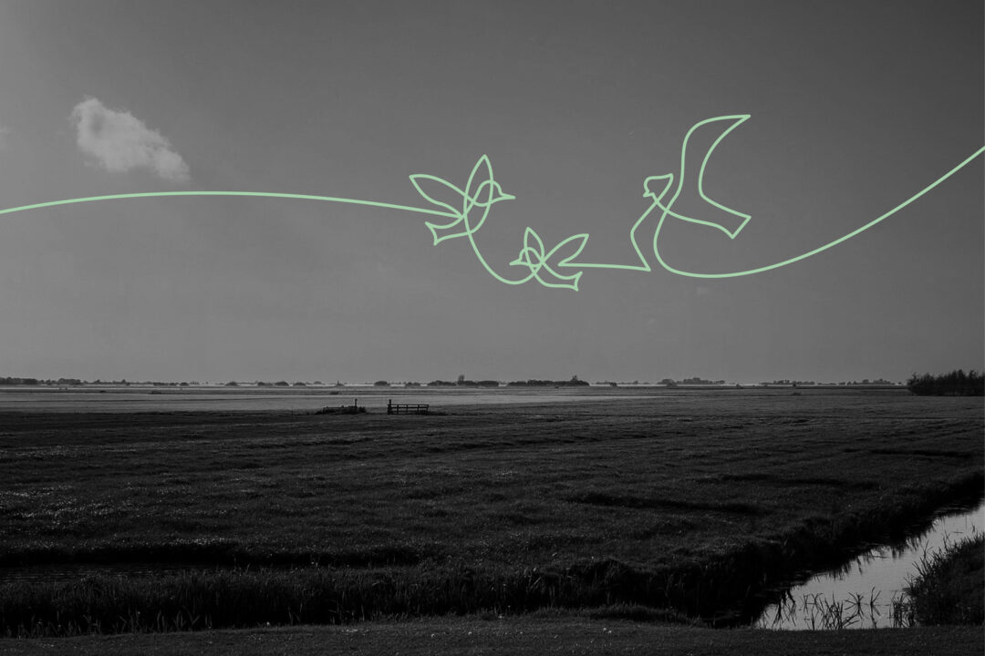 banners-stichting-dna-01-1080x720